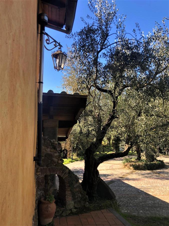 Casale L'Antica Mola Villa Castel Madama ภายนอก รูปภาพ